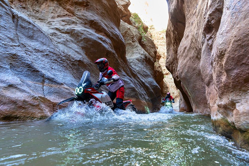 Ducati DesertX Rally