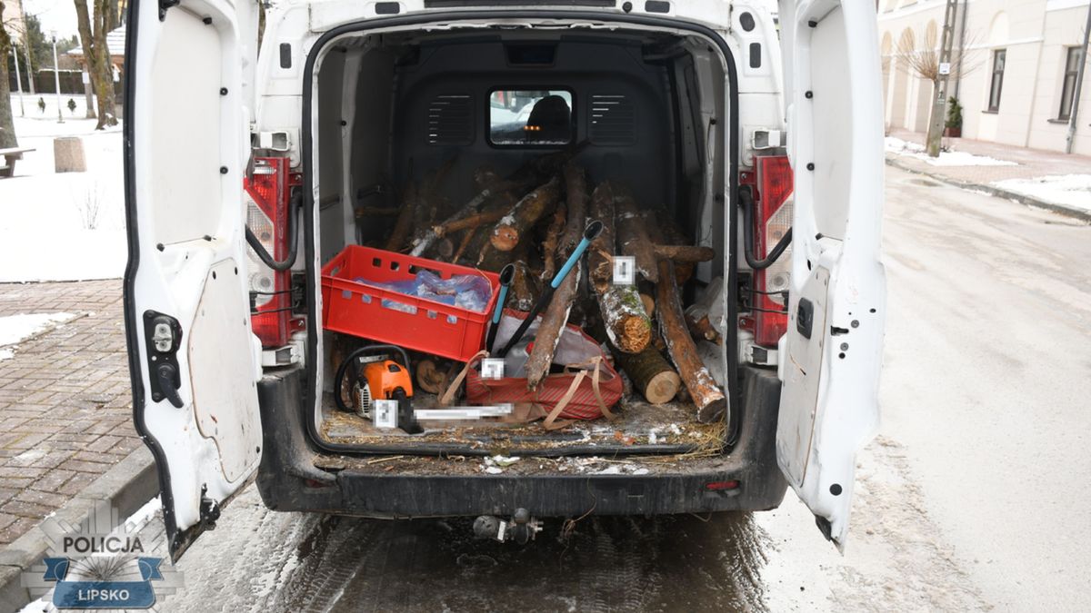 Przywłaszczonym autem pojechał kraść drzewo.
