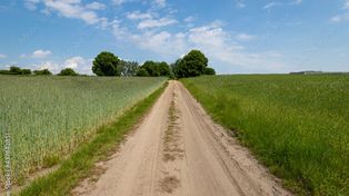 Powstaną drogi dojazdowe do gruntów rolnych! Gminy z powiatu włocławskiego i radziejowskiego otrzymały dotacje