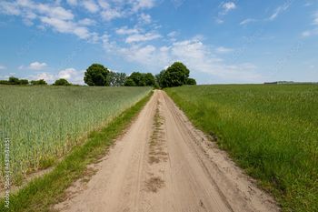 Powstaną drogi dojazdowe do gruntów rolnych! Gminy z powiatu włocławskiego i radziejowskiego otrzymały dotacje