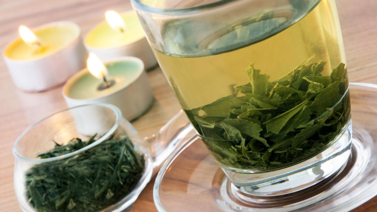 Mięta w ciąży. Czy jest bezpieczna?