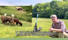 Make Life Harder reklamuje Tier