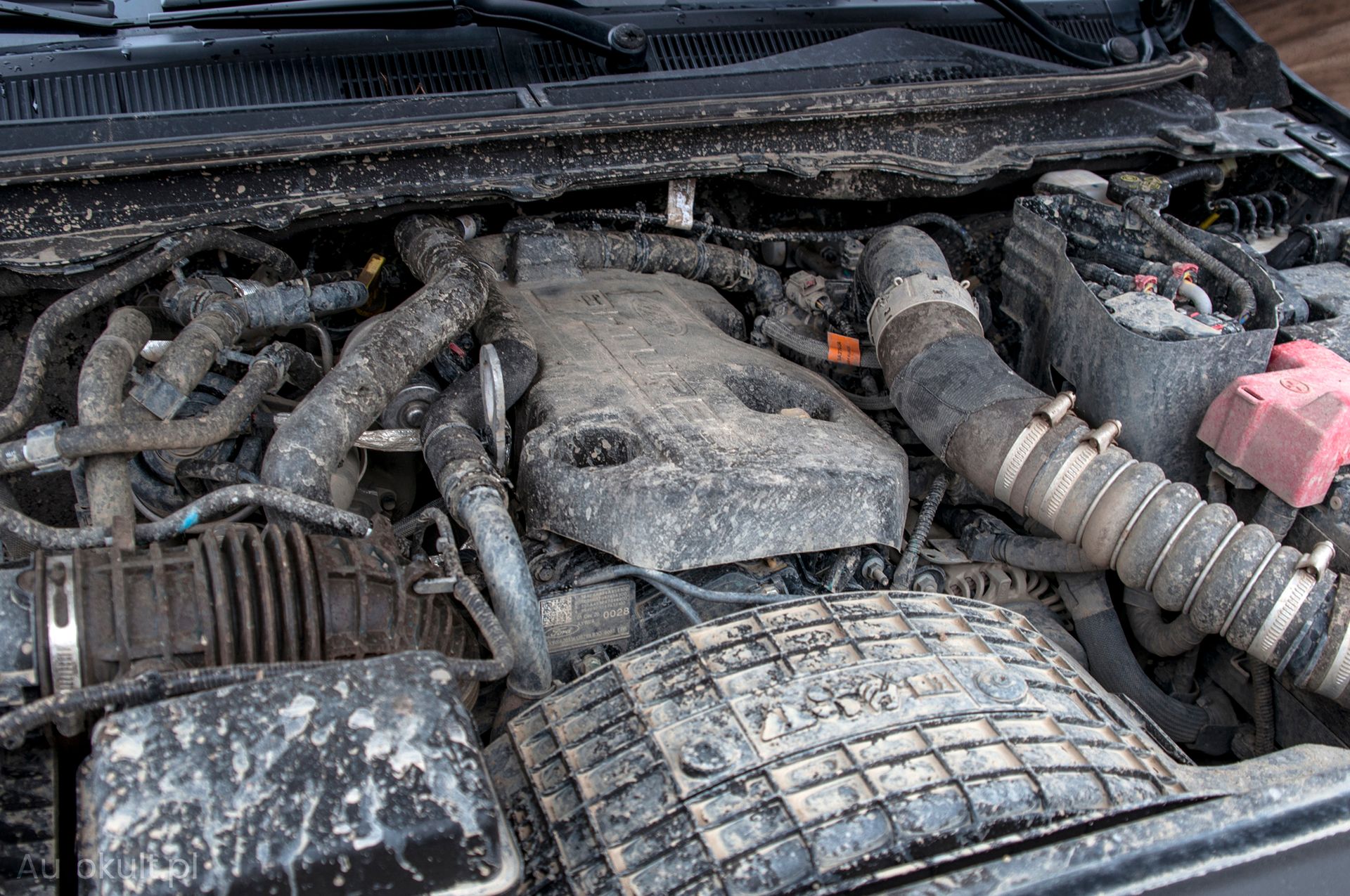 2-litrowy diesel Raptora. Może i mały, ale mocny, lekki i świetnie umieszczony
