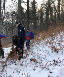 Beskidy. Ciało w górach. To zaginiony mężczyzna