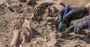 Prace dobiegły końca. Ekshumowano ciała Niemców