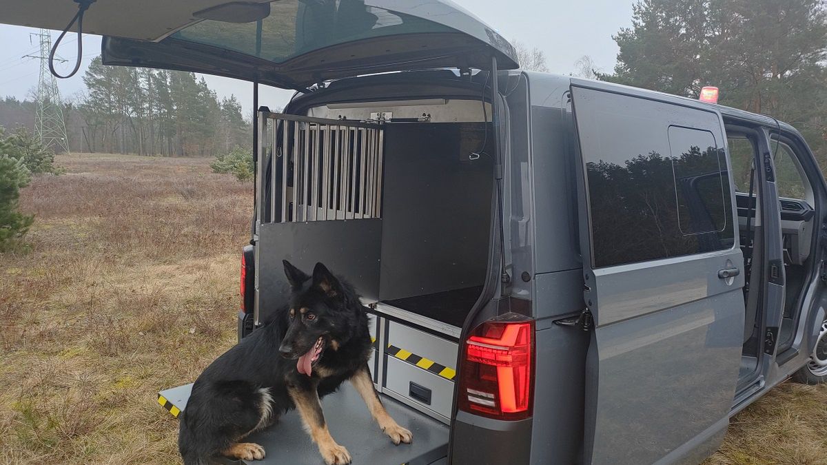 Zdjęcie ilustracyjne