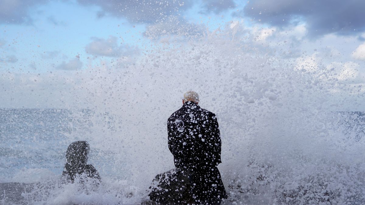 Stary człowiek i morze: Bruce Parker uwielbia stroić sobie żarty z turystów 1