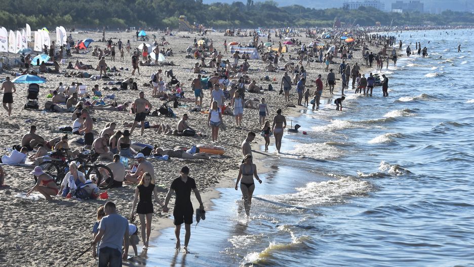 Inwazja meduz w Bałtyku