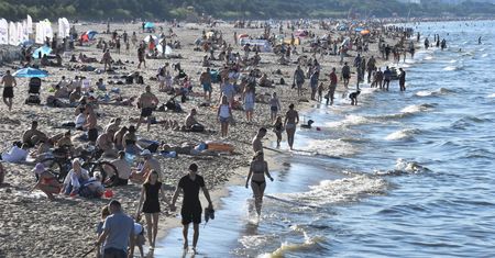 Bałtyk: inwazja meduz. Równowaga ekologiczna może być zagrożona
