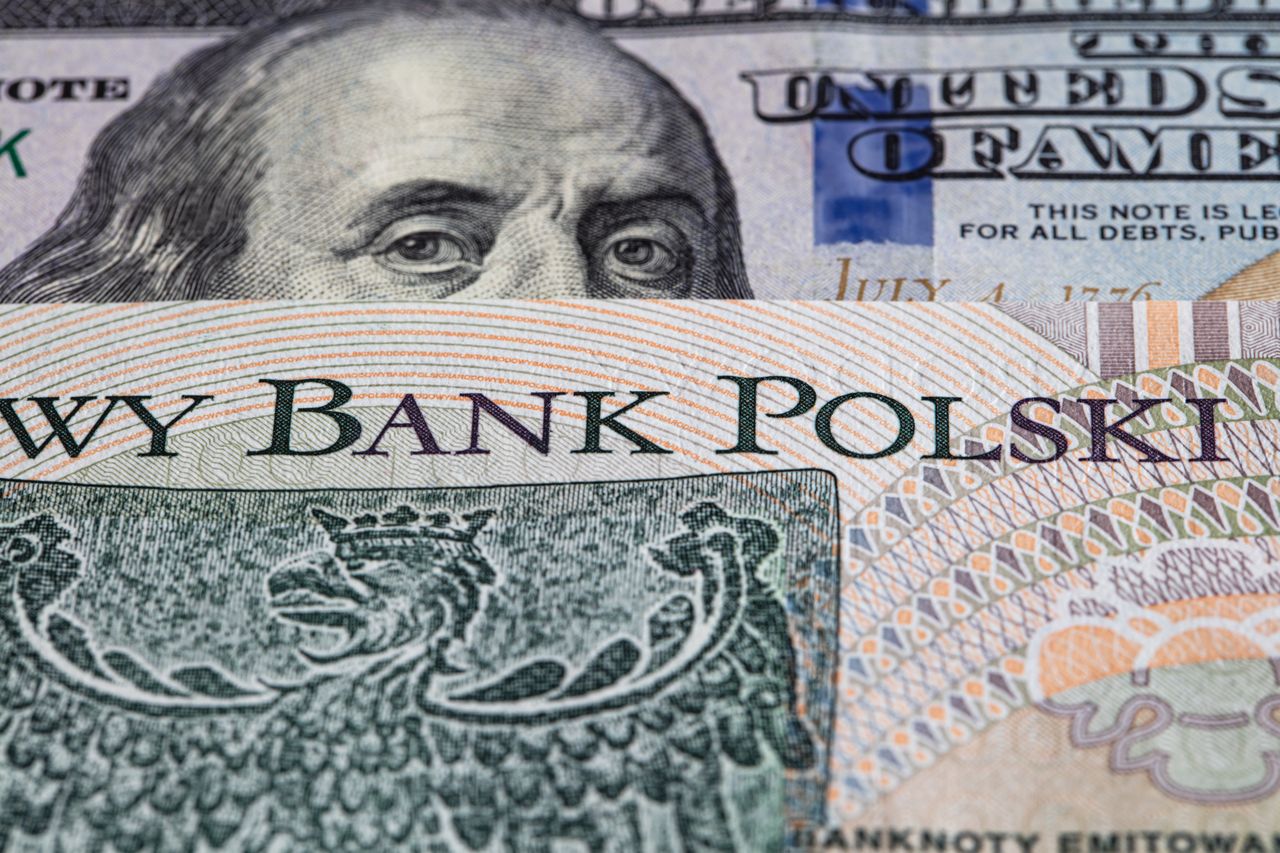 Złoty w czołówce walut na świecie. Oto dlaczego tak się dzieje