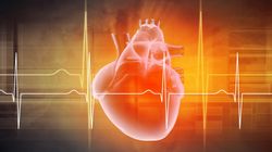 Serce - anatomia człowieka. Gdzie jest serce i jak jest zbudowane ?