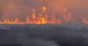 150 lat temu zabił 50 mln osób. Teraz powraca