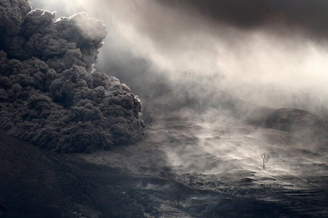 Znamy zwycięzców i finalistów Smithsonian Photo Contest 2015 2