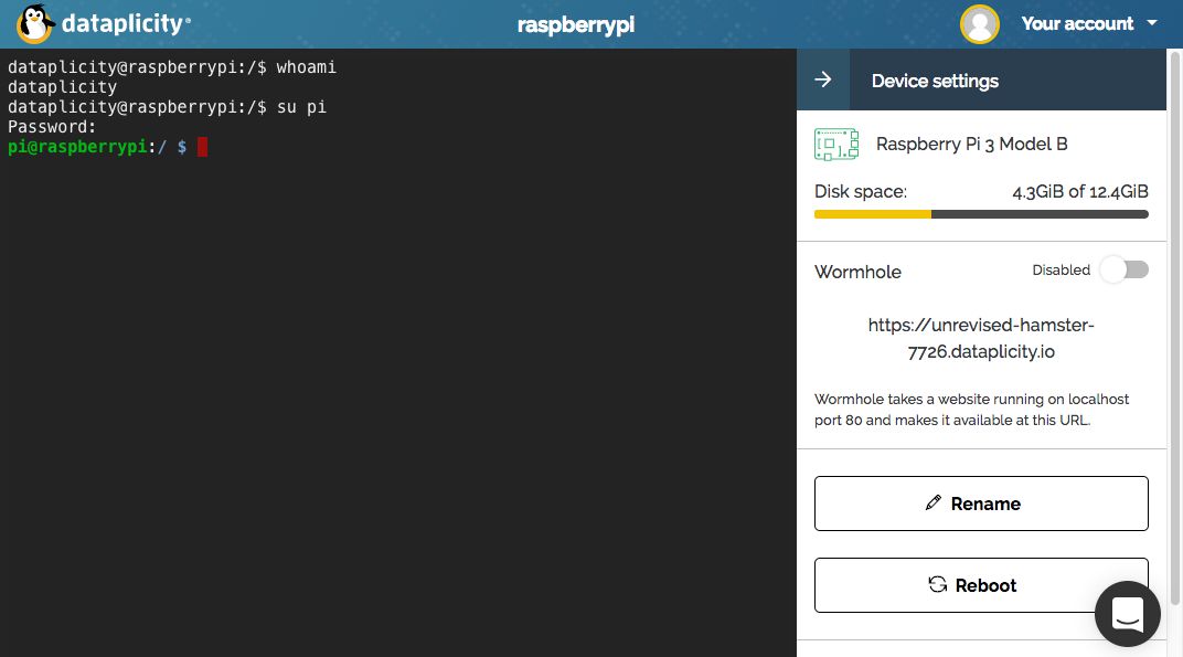 Przeglądarkowy interfejs Dataplicity – po lewej Malina, po prawej informacje o niej.