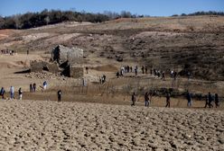 Pogoda w Europie. Wiosna 2024 będzie inna niż zwykle. Potem nadejdzie klęska