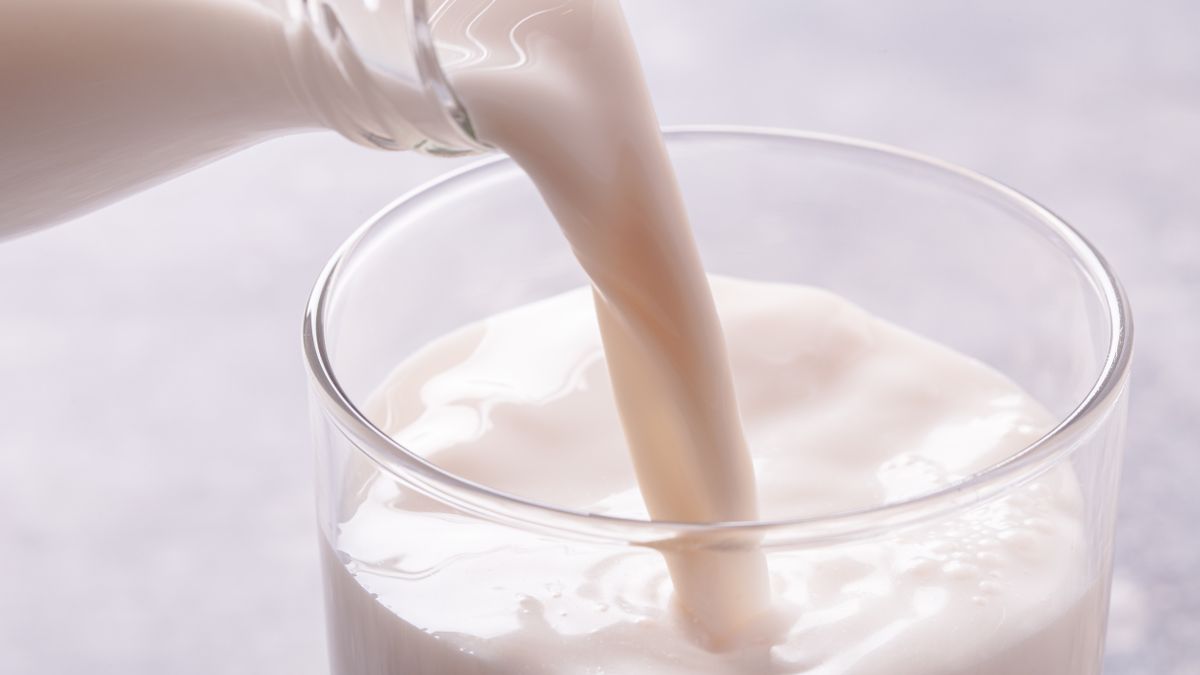 Kazeina to białko obecne w mleku krowim, kozim i owczym.