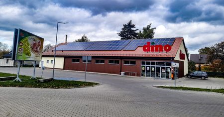 Dino szaleje. W środę się zaczęło
