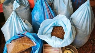 Ostrołęka: Policjanci rozbili zorganizowaną grupę przestępczą