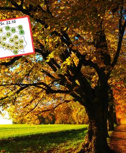 W październiku jeszcze wróci ciepło. Szansa na złotą polską jesień?