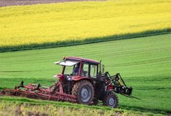 Emerytura dla rolnika. Tyle wynosi dla osób z 20 i 25-letnim stażem