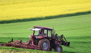 Emerytura dla rolnika. Tyle wynosi dla osób z 20 i 25-letnim stażem