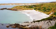 Falklandy – co warto zobaczyć w tym zakątku świata?