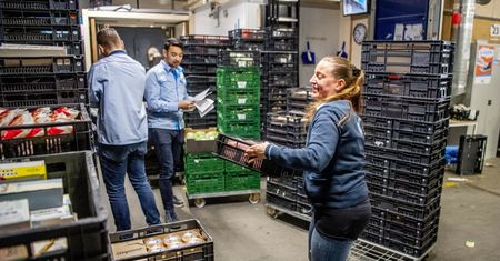 Polacy na czele strajku w Holandii. Pomogli wywalczyć podwyżki