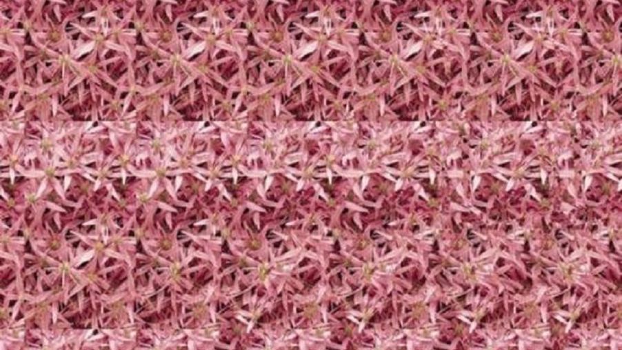 Co widzisz na obrazku?