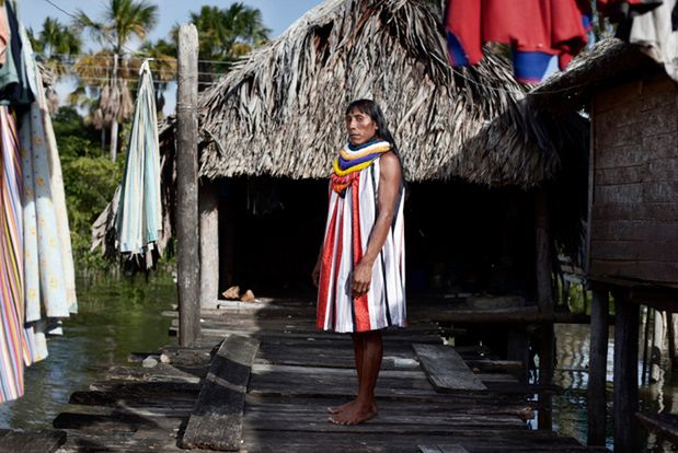 „Wonderland, the strange inhabitants of The Delta Amacuro.” (Czarodziejska kraina, dziwni mieszkańcy Delty Amacuro) to cykl zdjęć dokumentujący jedno z ostatnich autochtonicznych plemion zamieszkujących Amerykę Południową.