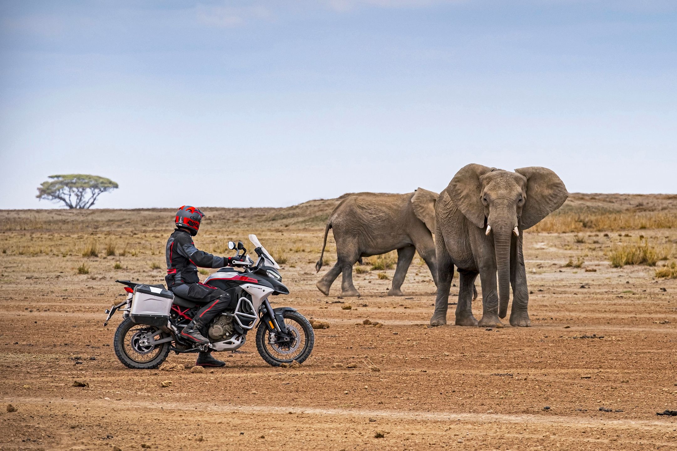 Ducati Multistrada V4 Rally