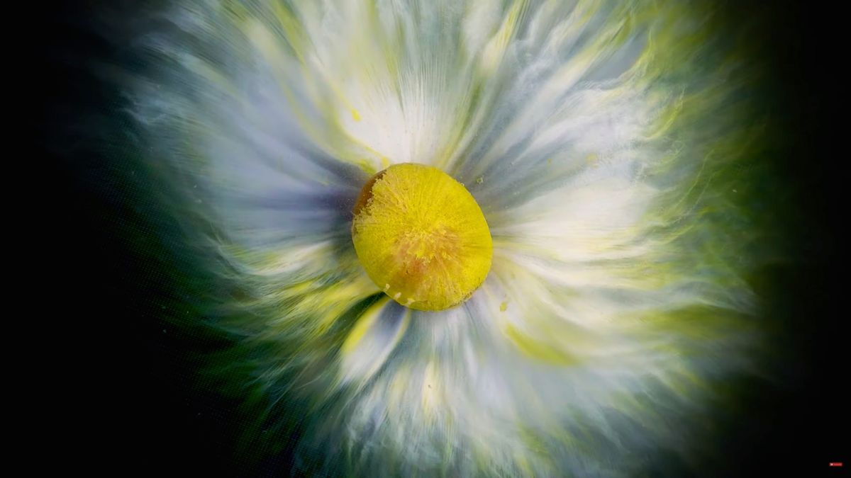 Magia M&Ms. Rozpuszczające się cukierki wyglądają jak dzieła psychodelicznej sztuki 1