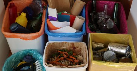 Kreatywne wykorzystanie odpadów kuchennych. Pomysły na recykling organiczny