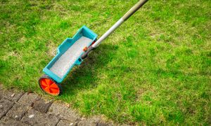 To jeden z najważniejszych zabiegów pielęgnacyjnych trawnika. Termin już blisko
