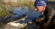 Everglades: w krainie komarów i aligatorów
