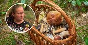 Odwieczny spór grzybiarzy. Ekspertka wyjaśnia, o co chodzi z wykręcaniem grzybów