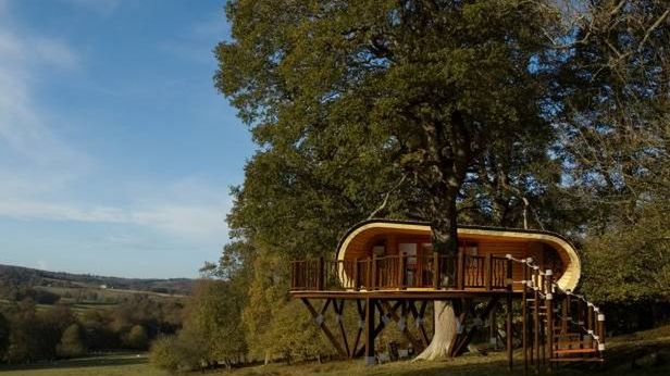 Autonomiczny domek na drzewie. Zamieszkaj tam, gdzie chcesz 1