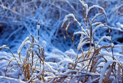 Pogoda zaskoczyła. Pierwszy śnieg w Polsce już spadł