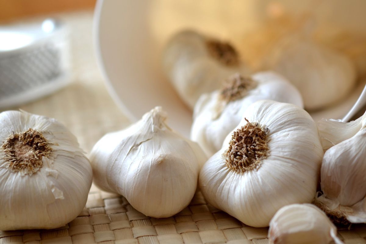 Garlic - Delicacies