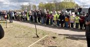 Stawiski świętują 600 lat: dęby symbolem historii miasta