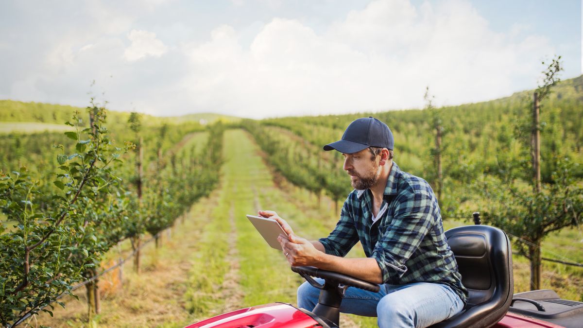 Rośnie eksport polskich produktów rolnych