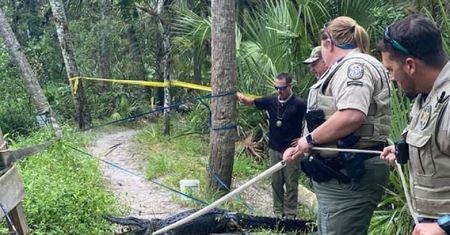 Przerażający wypadek w USA. Wpadł wprost do paszczy aligatora