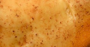 Jaki produkt jest widoczny na zdjęciu?