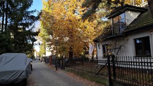 Warszawa: Brukowana alejka i wille. Jesienią wygląda obłędnie