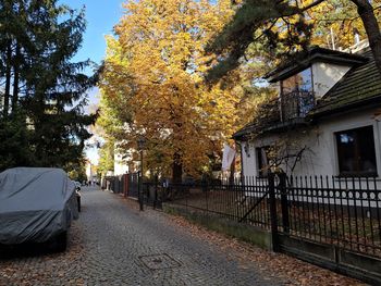 Warszawa: Brukowana alejka i wille. Jesienią wygląda obłędnie