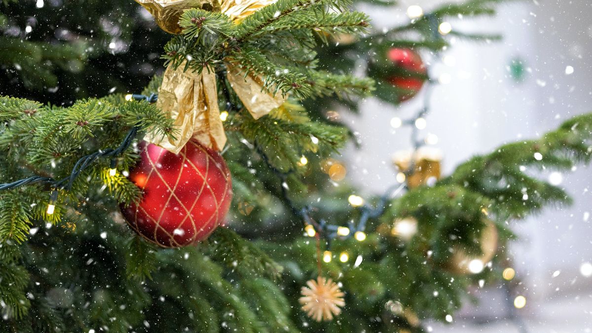 Grudzień w tym roku ma być wyjątkowo ciepły i jednocześnie deszczowy