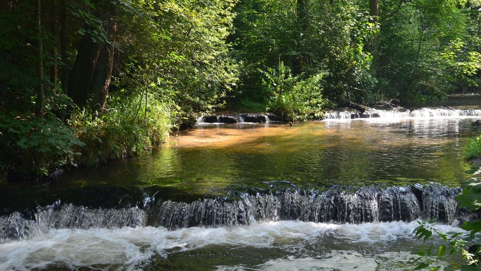 Rezerwat Szumy na Tanwii