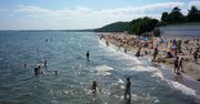 Akcja nad Bałtykiem. Saperzy unieszkodliwią minę. Seria zakazów nad polskim morzem