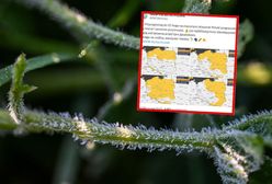 Złe wieści od synoptyków. Arktyczny podmuch szybko nie minie