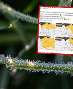 Złe wieści od synoptyków. Arktyczny podmuch szybko nie minie