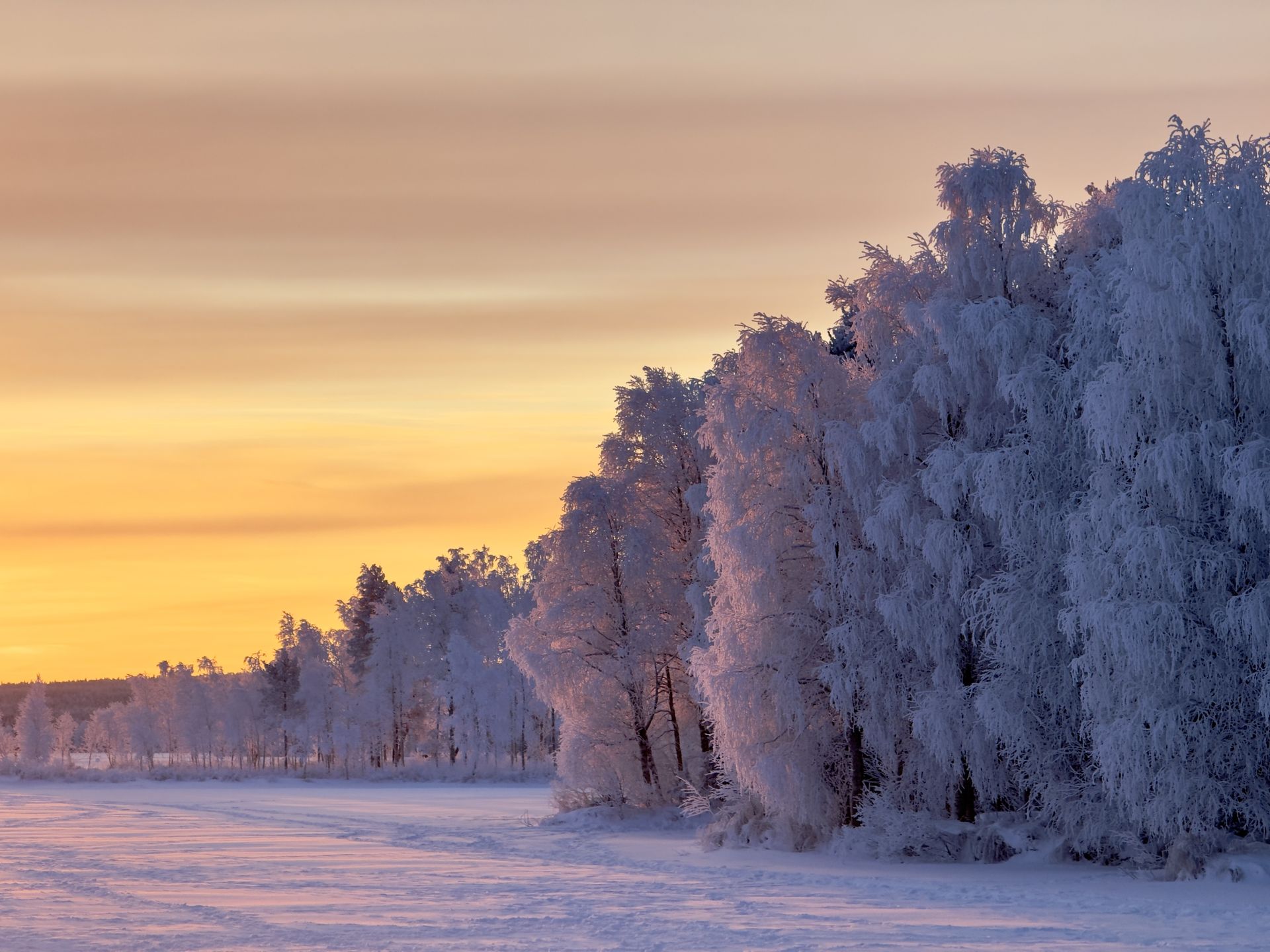 Zima w Laponii jest surowa, ale i piękna.